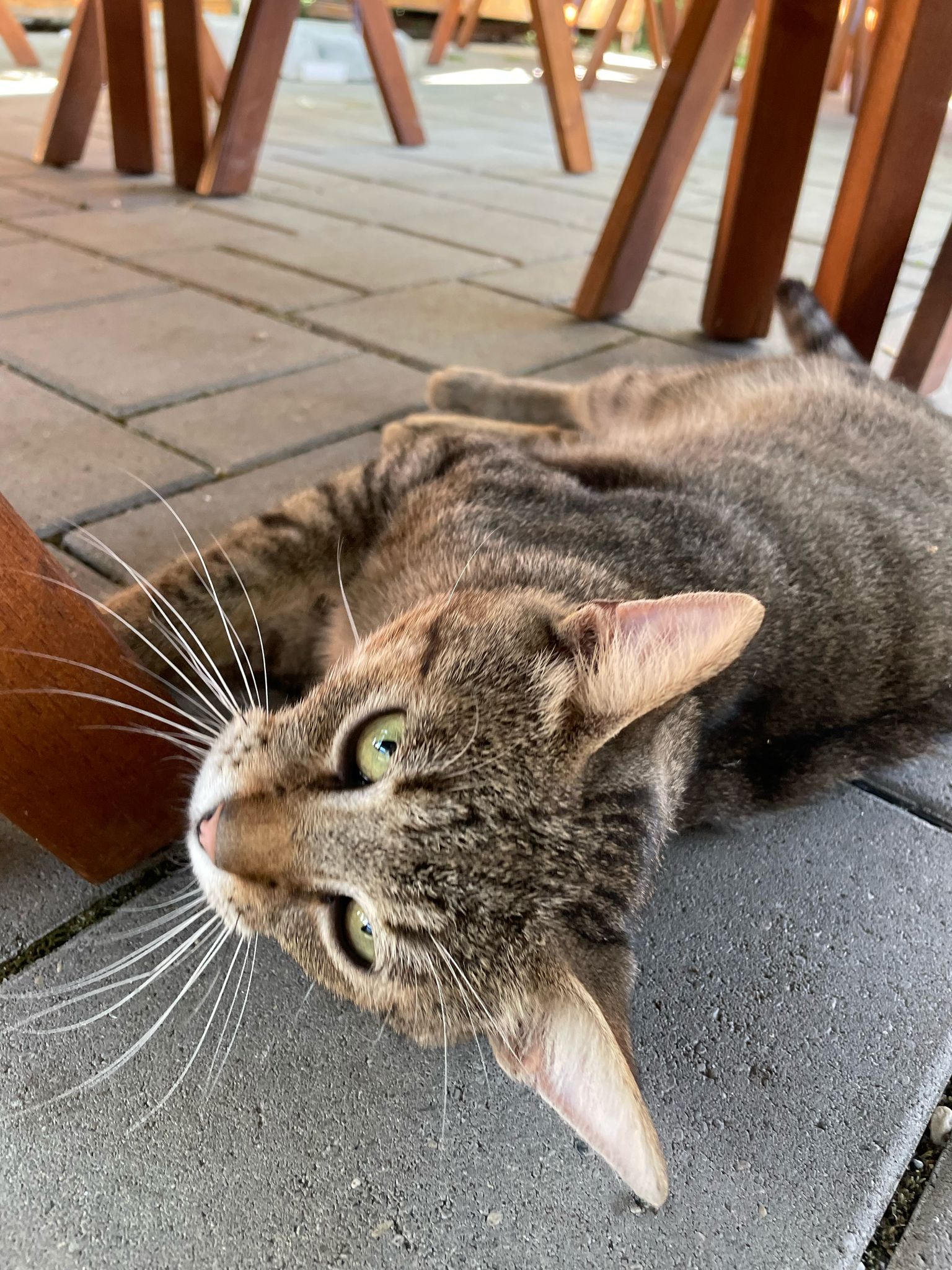 Imagine suplimentară